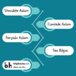 Yeşil fon üzerinde karşılıklı sıralanmış kutucuklarda örnek bazı "5. Sınıf Türkçe Konuları" yer almış. En altta da "bilgihazine.net" logosu var.