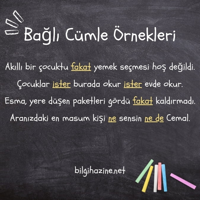 Bağlı Cümle Nedir, Özellikleri Neler?