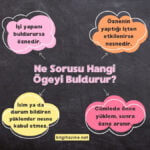 Siyah sınıf tahtasının ortasında "Ne Sorusu Hangi Ögeyi Buldurur?" başlığı, çevresindeki renkli baloncuklarda hangi durumda özne, hangi durumda nesne olacağını anlatan yazılar ve en altta "bilgihazine.net" adresi var.
