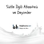 Üstte "Sütle İlgili Atasözü ve Deyimler" başlığı, aşağısında "bilgihazine.net" logosu, en altta süt görseli var.