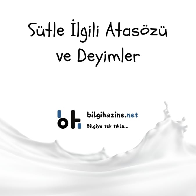 Sütle İlgili Atasözü ve Deyimler Nelerdir?
